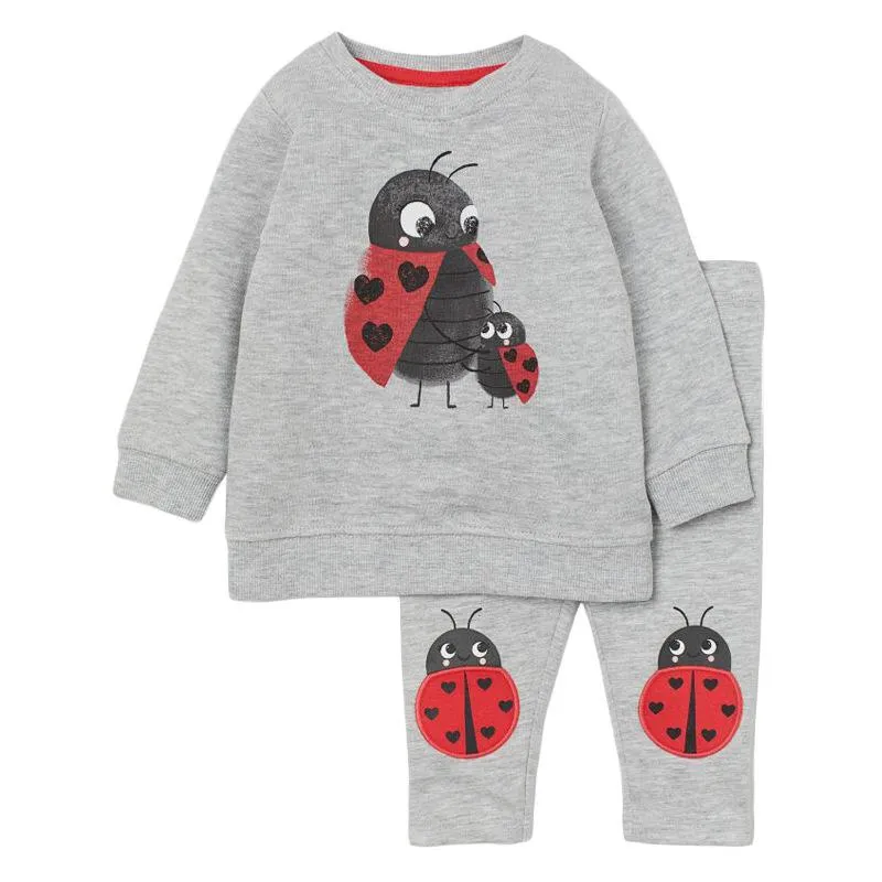 Cute Ladybird illustrated Top and Leggings