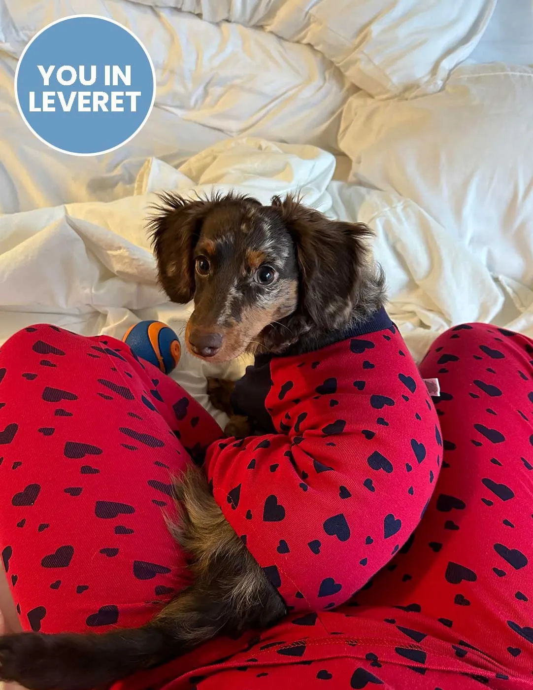 Dog Dark Navy Hearts Pajamas