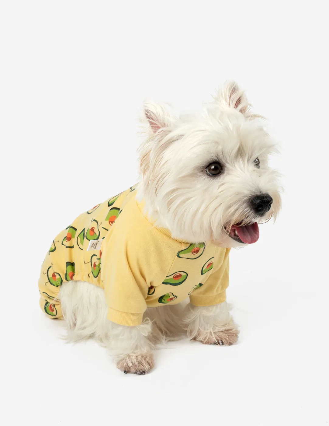 Dog Food Print Pajamas