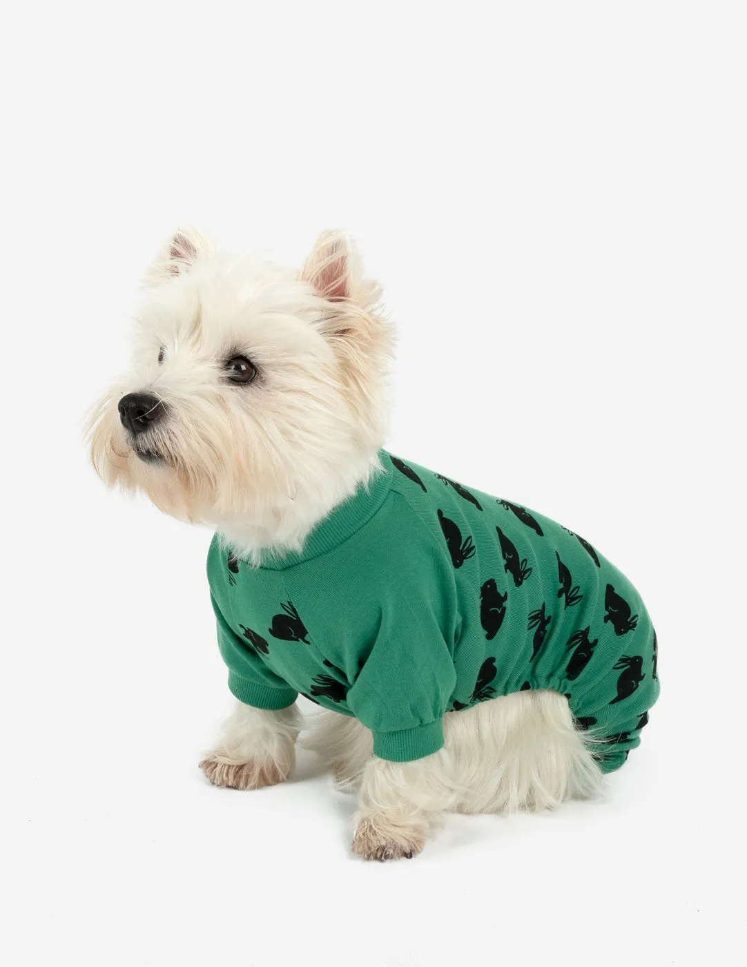 Dog Green Bunny Pajamas