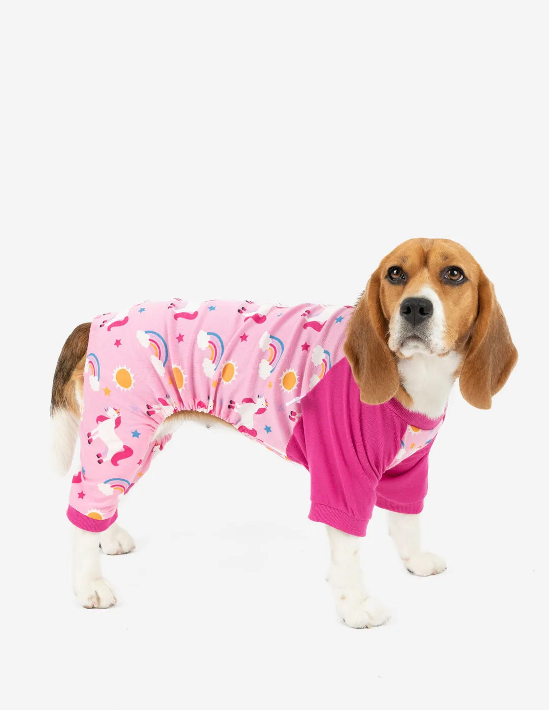 Dog Print Pajamas