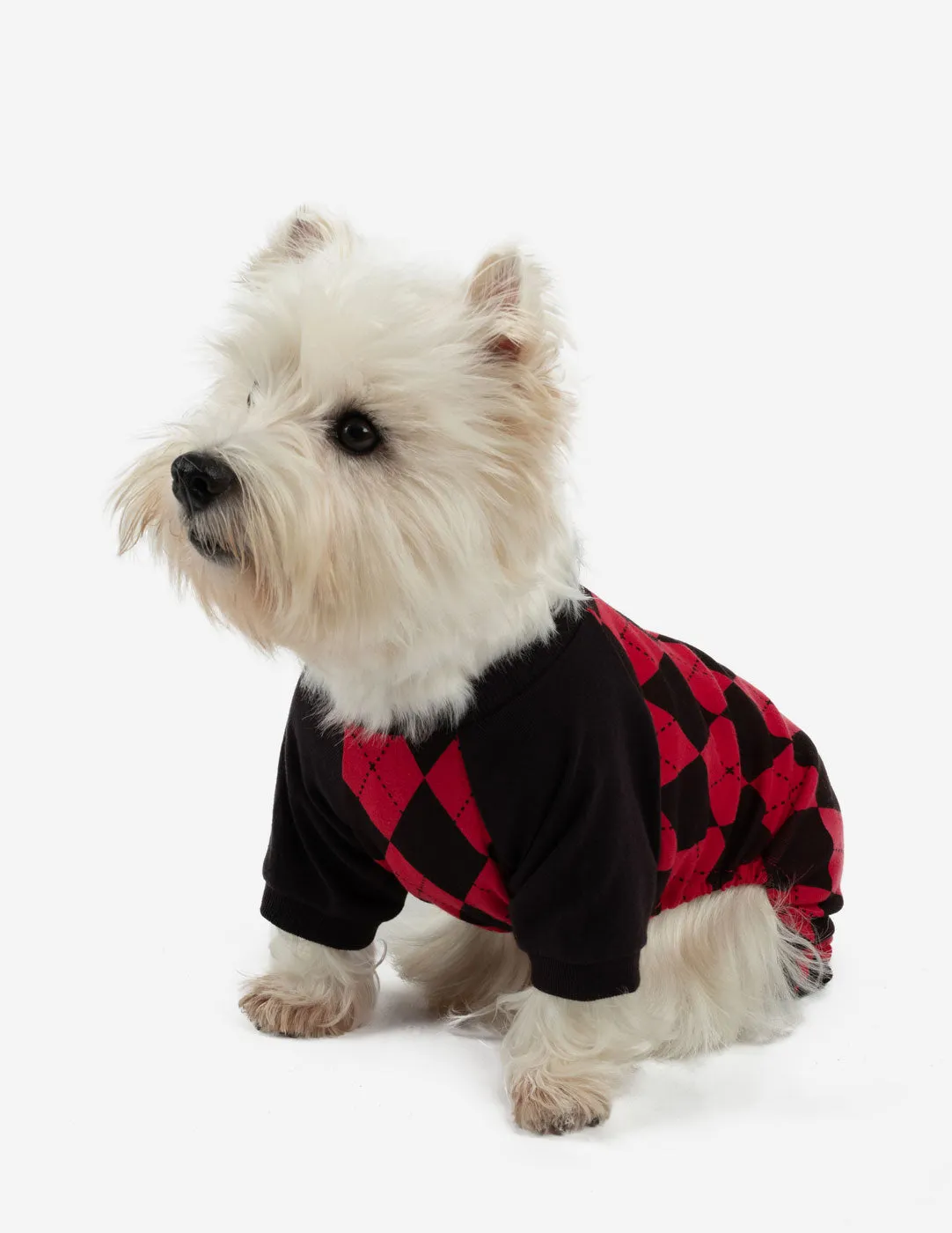 Dog Red & Black Argyle Pajamas