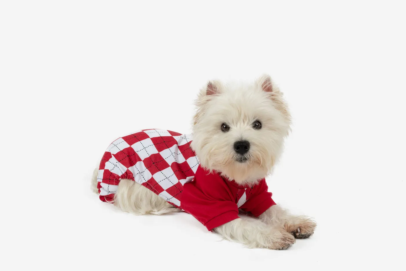 Dog's Argyle Print Pajamas