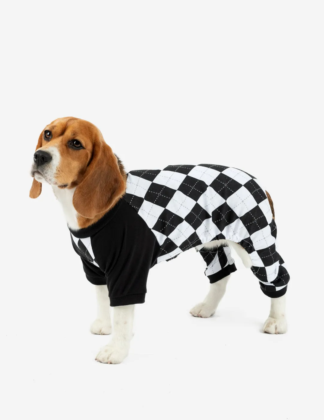 Dog's Argyle Print Pajamas