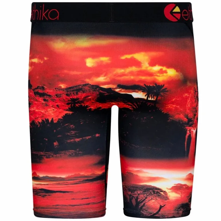 Ethika Dark Safari Underwear