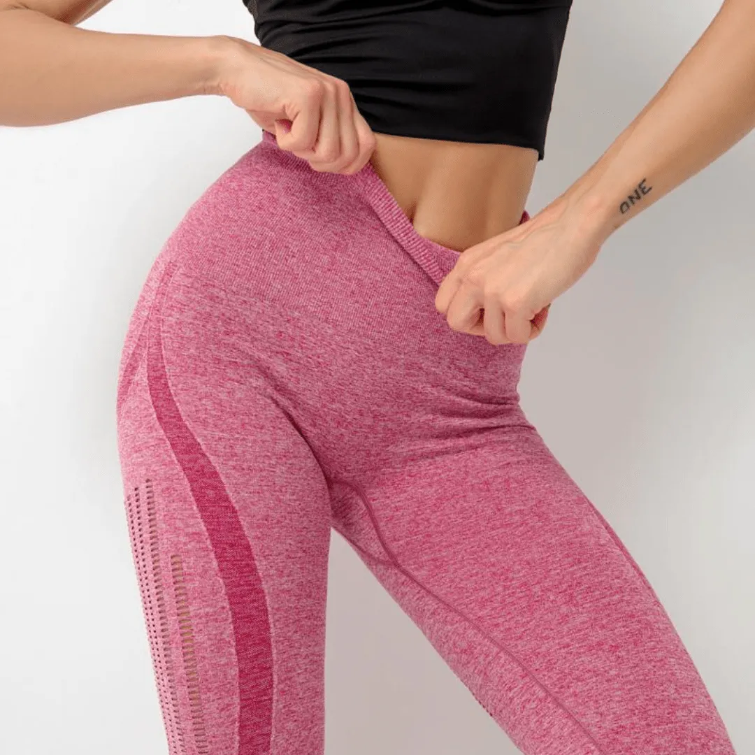 Isabella Sculptknit Seamless Leggings