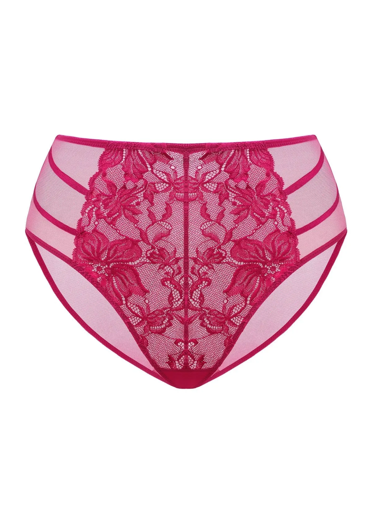 Pretty In Petals Red High-Rise Lace Brief Underwear